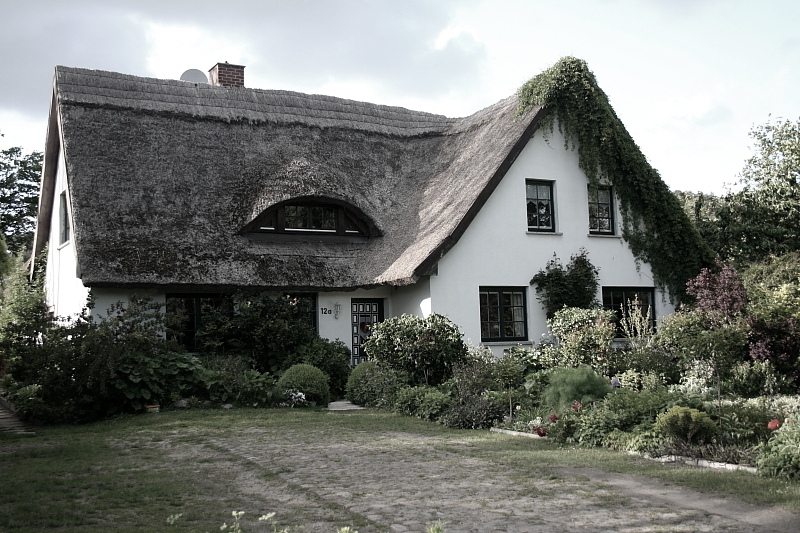 Killikus® Fotographie Killikus® Fotographie